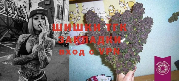 mix Богородицк